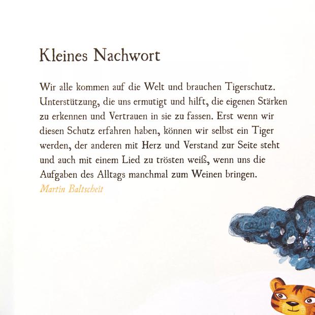 Affenzahn Bilderbuch Das Lied Der Tigerin