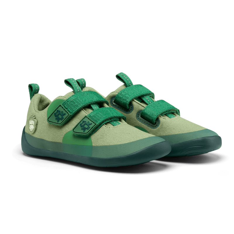 Frog sneakers 2024