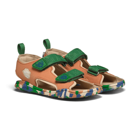 Uccello del paradiso