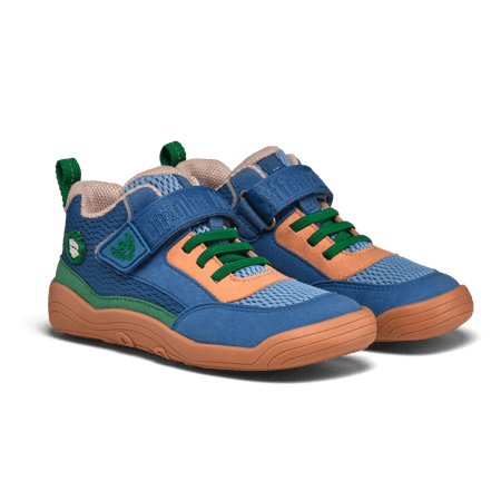 Uccello del paradiso