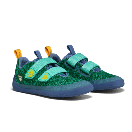 Uccello del paradiso